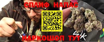 СК Бийск