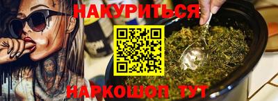 СК Бийск