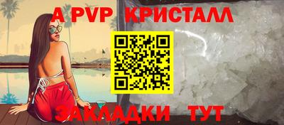 СК Бийск