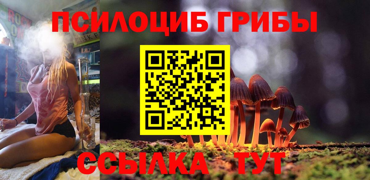 Галлюциногенные грибы Psilocybe  магазин продажи   Клинцы  Вход с VPN 