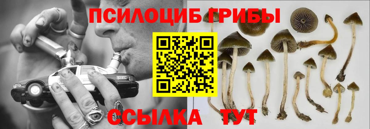 Псилоцибиновые грибы Magic Shrooms Клинцы